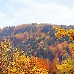 Waldhotel Post 3* Bad Liebenzell