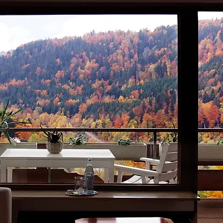 Waldhotel Post Hotel 3*