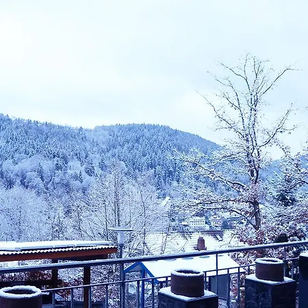 Hotel Waldhotel Post 3*
