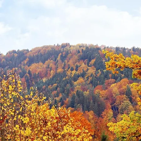 Waldhotel Post 3* Bad Liebenzell