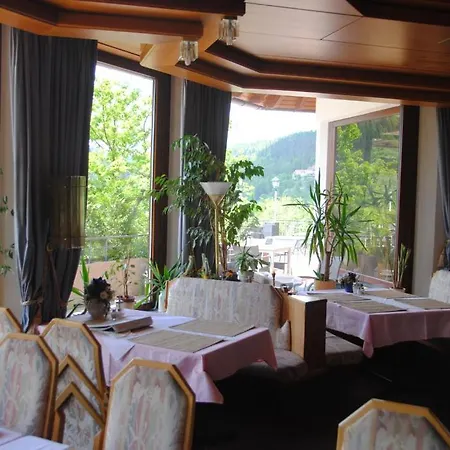 Hotel Waldhotel Post