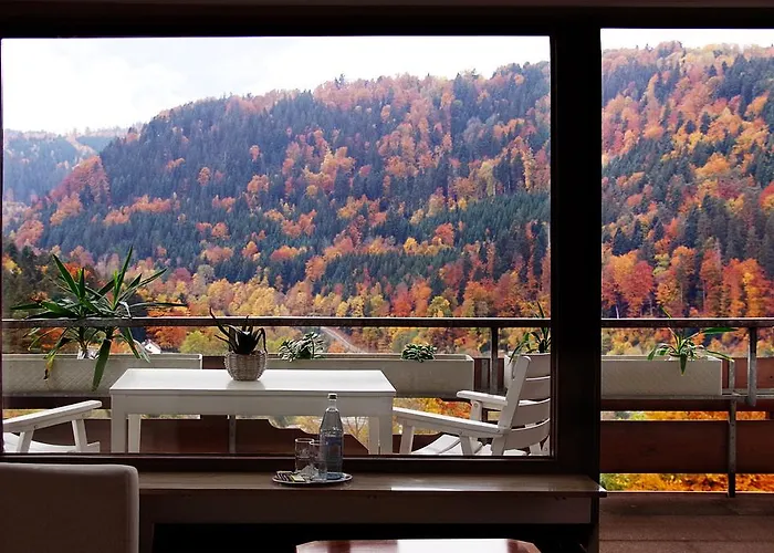 Waldhotel Post Hotel 3*