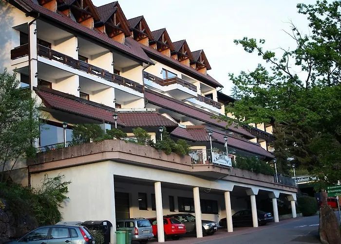 Waldhotel Post Hotel 3*
